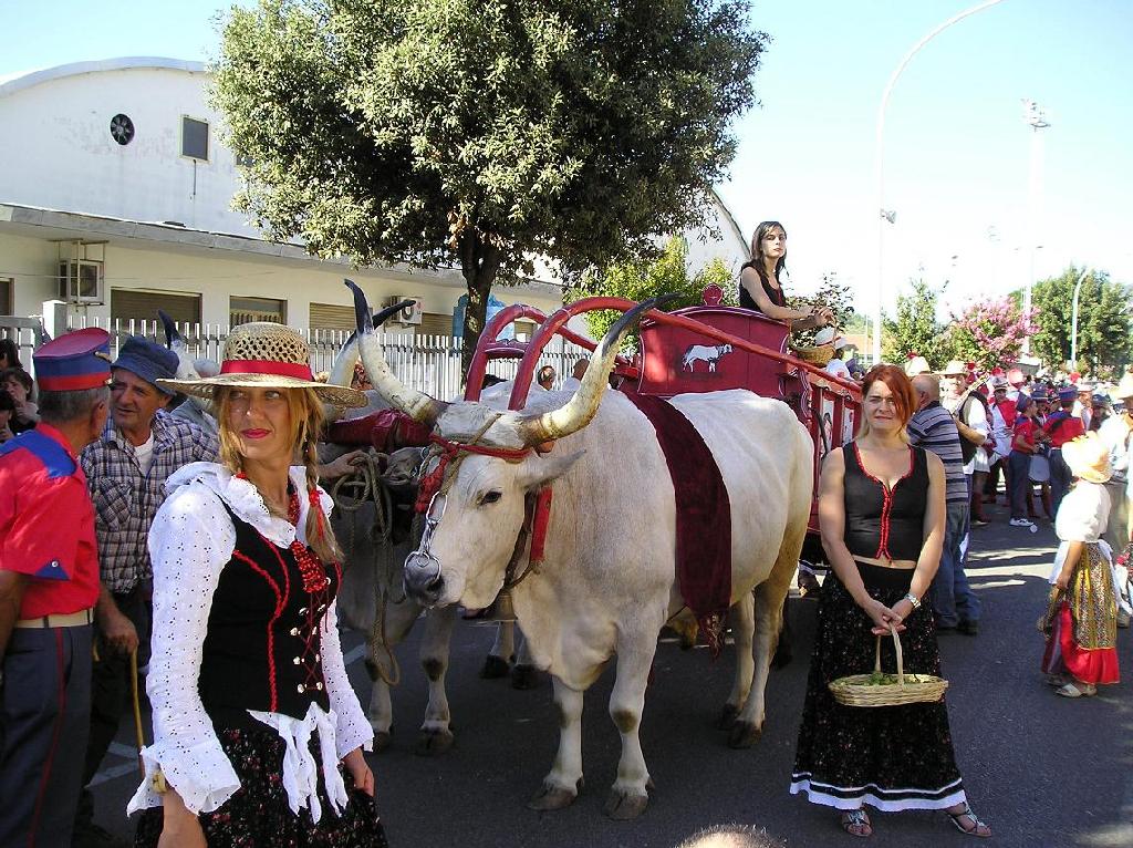 FestaUva (1).jpg